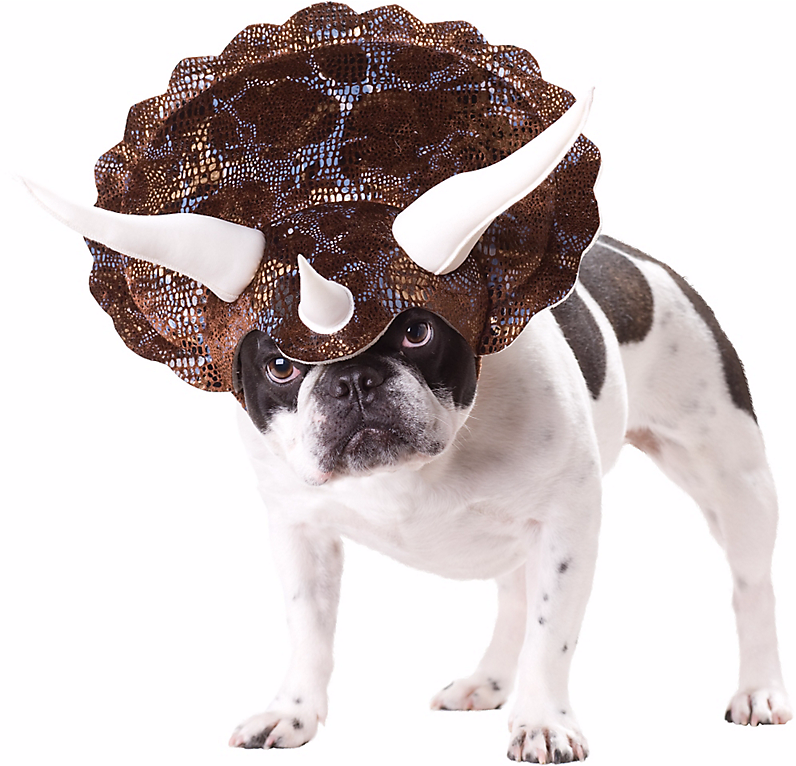 Triceratops Costume