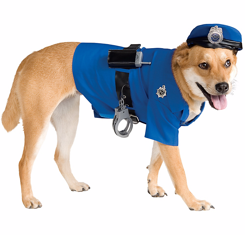 Police costume