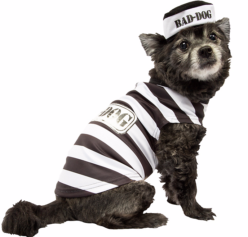 Prisoner costume