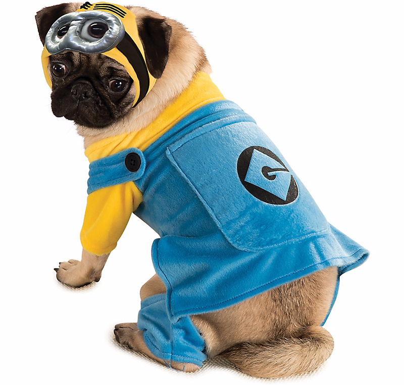 Minion Costume