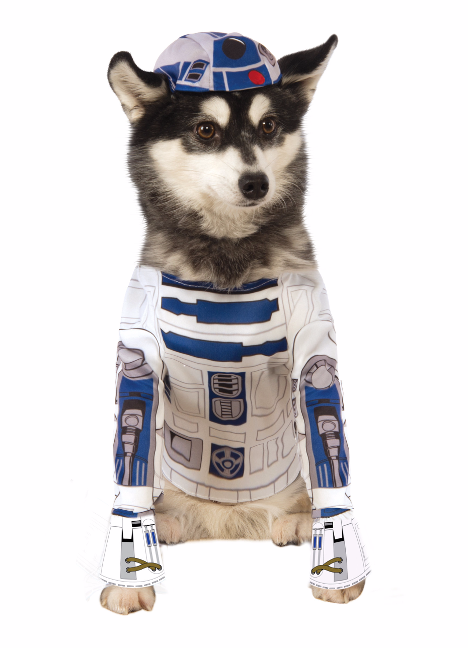 R2-D2 Costume