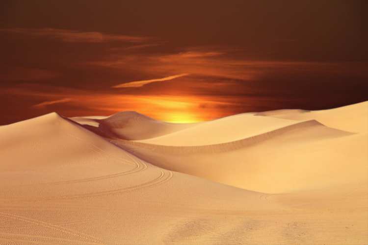 Deserts Month