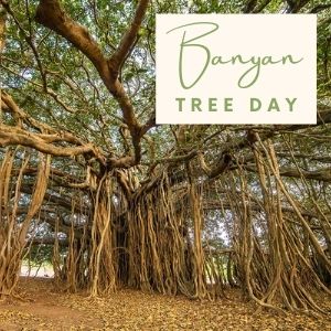 Epic Tree Holidays - Banyan Tree Day