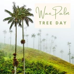 Epic Tree Holidays - Palm Tree Day