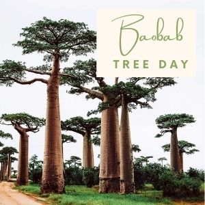 Epic Tree Holidays - Baobab Tree Day