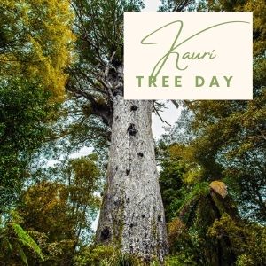 Epic Tree Holidays - Kauri Tree Day