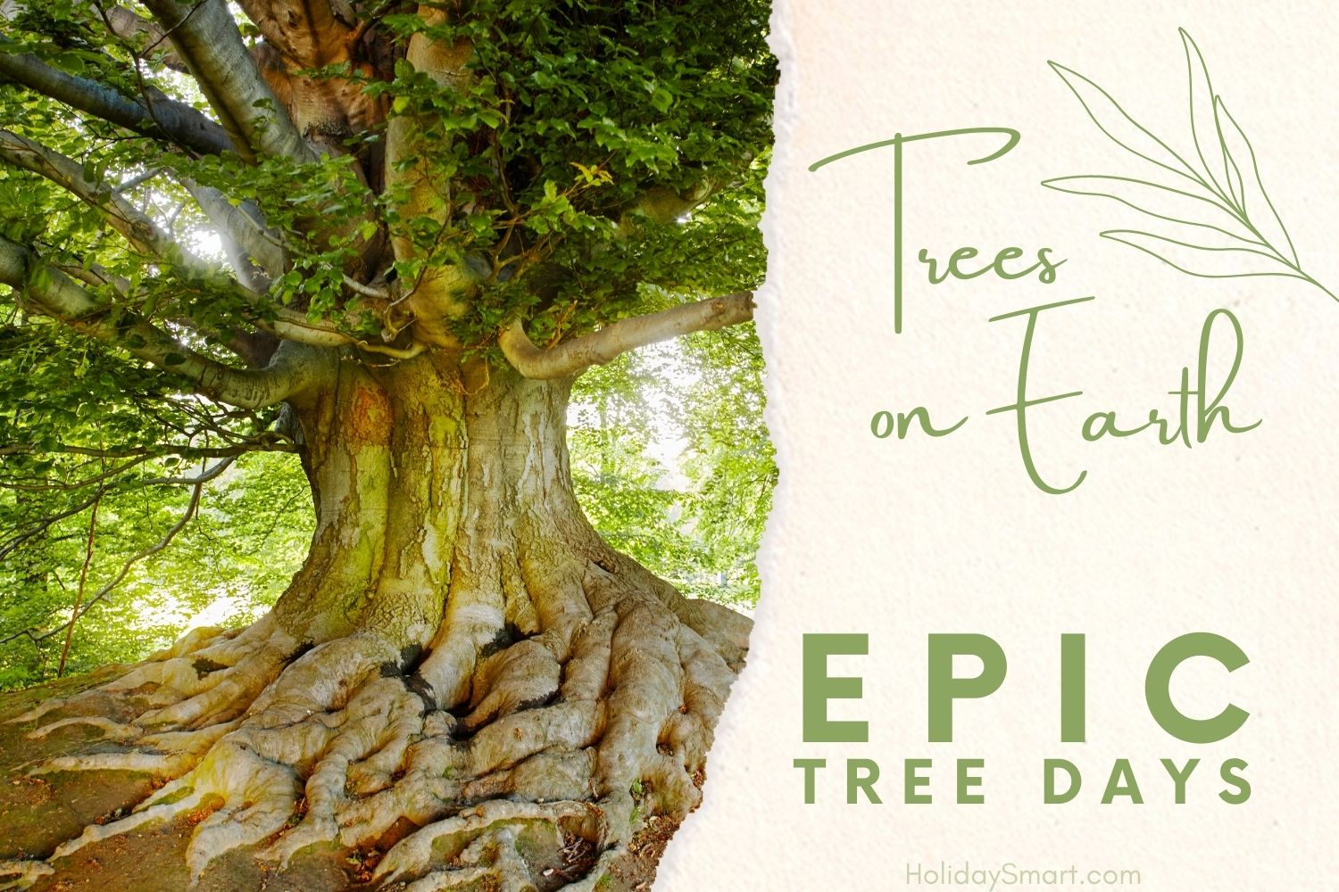 Epic Tree Holidays