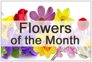 Flowers of the Month
