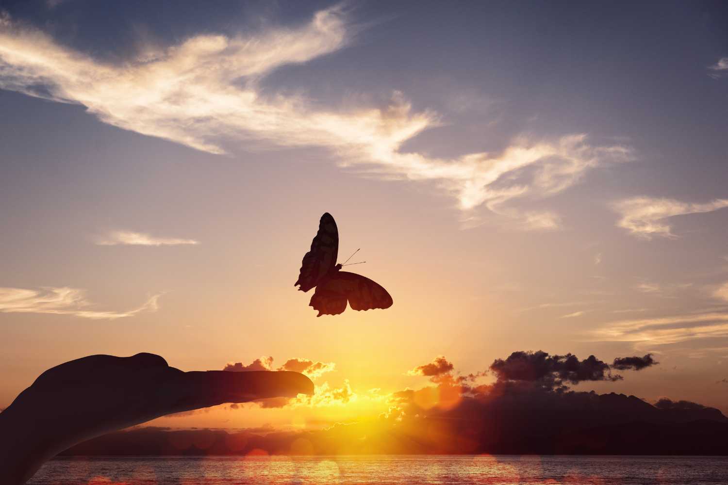 Free