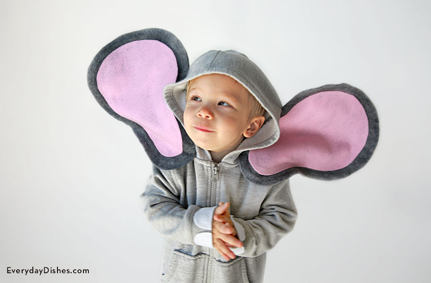 18 DIY Animal Halloween Costumes for Kids