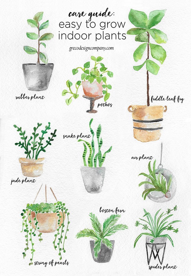 Plant a Flower Day