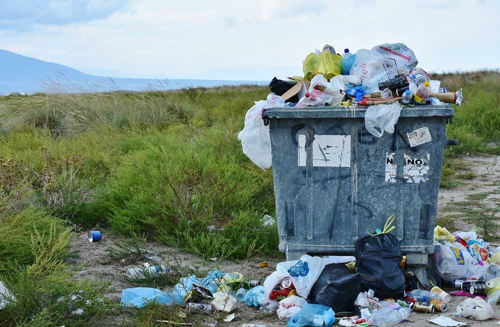 Plastic Bag Free Day