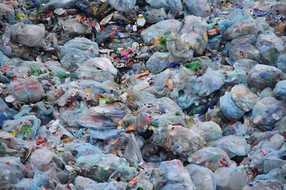 International Plastic Bag Free Day
