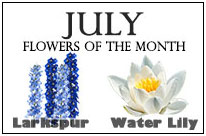 July Flowers