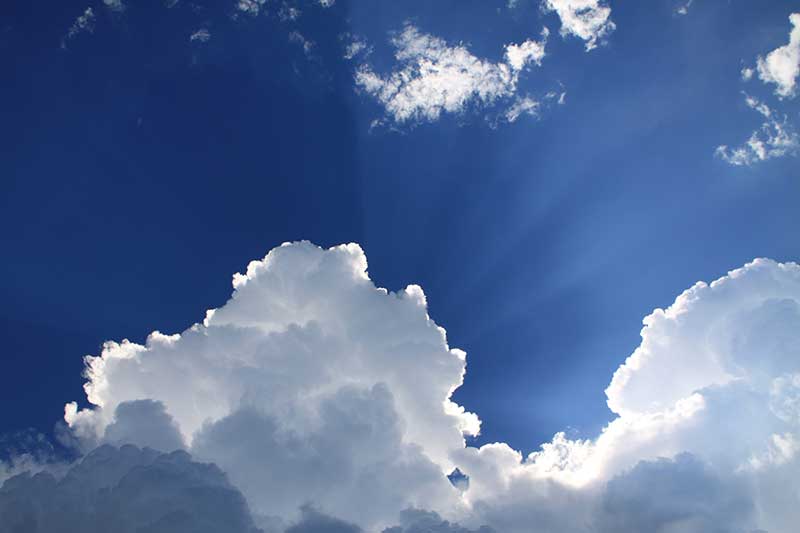 World Ozone Day