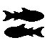 Pisces Fishes Sign
