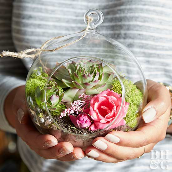 How to Host a Terrarium Making Party!