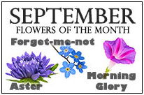 September Flowers