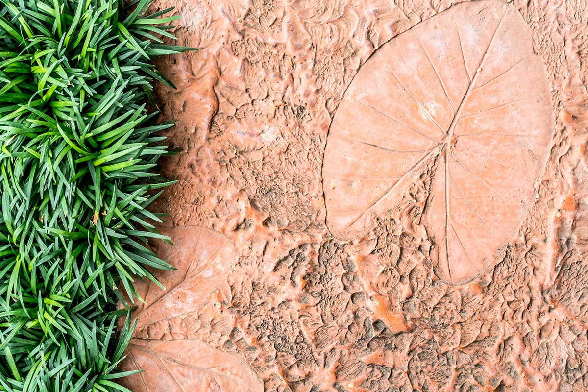 7 Crafts Using Leaves