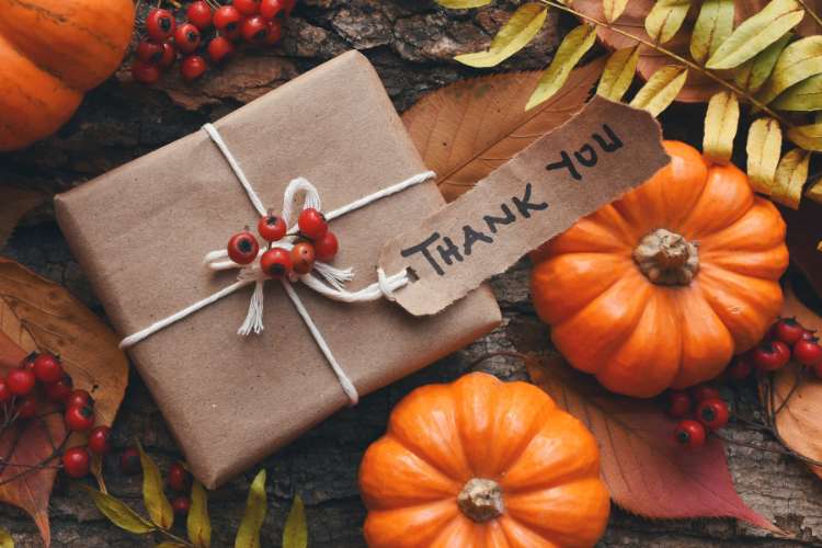 Thanksgiving gift