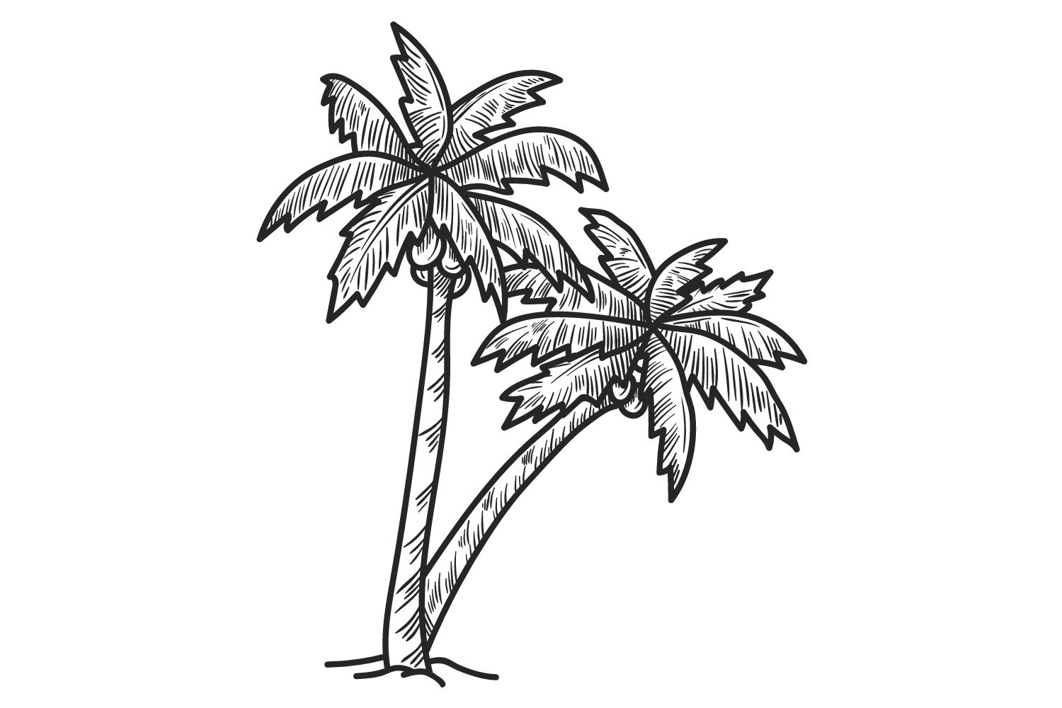 Wax Palm Tree Day