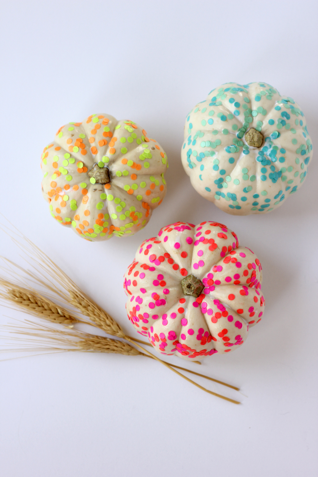 40 No Carve Pumpkin Ideas