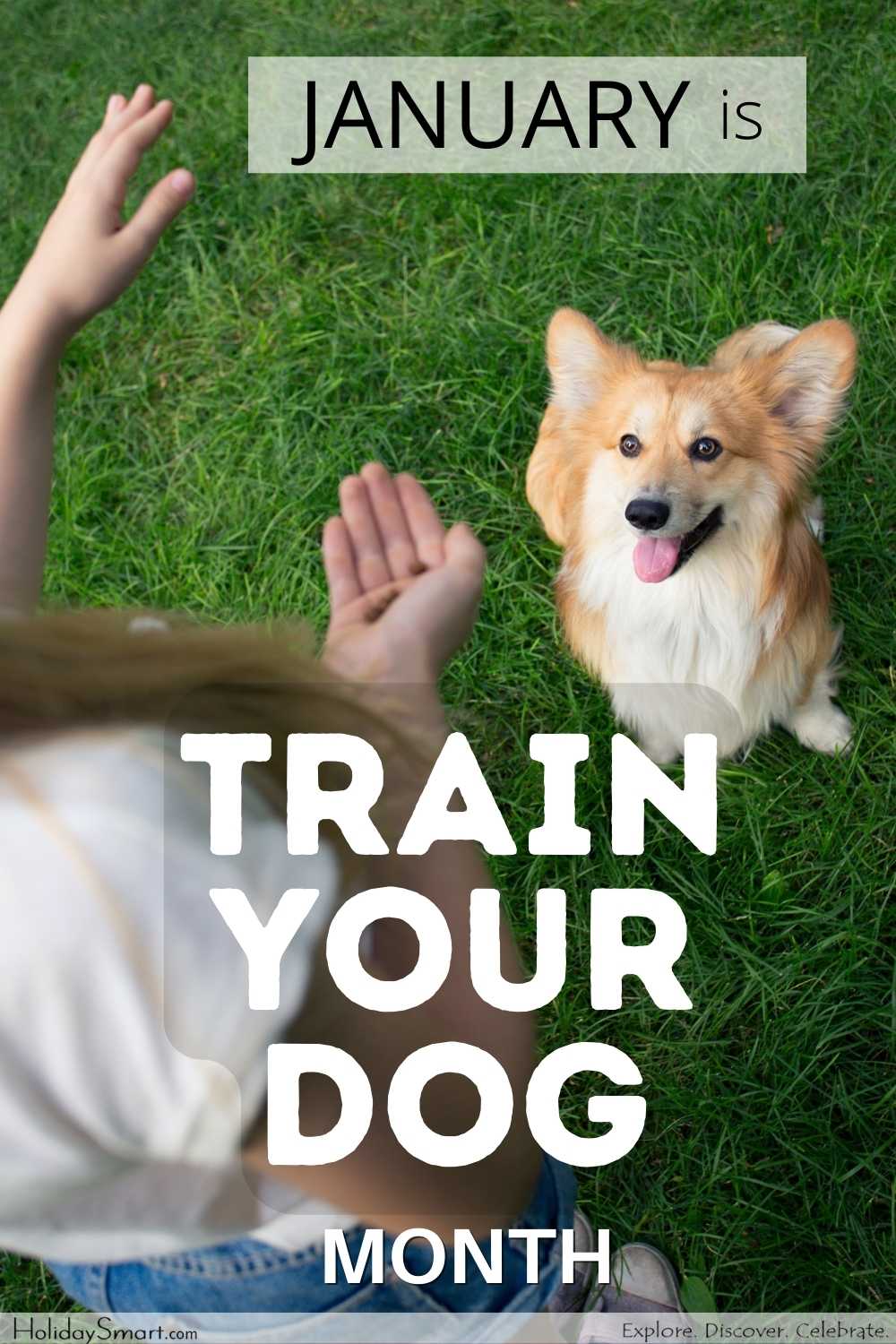 Train Your Dog Month