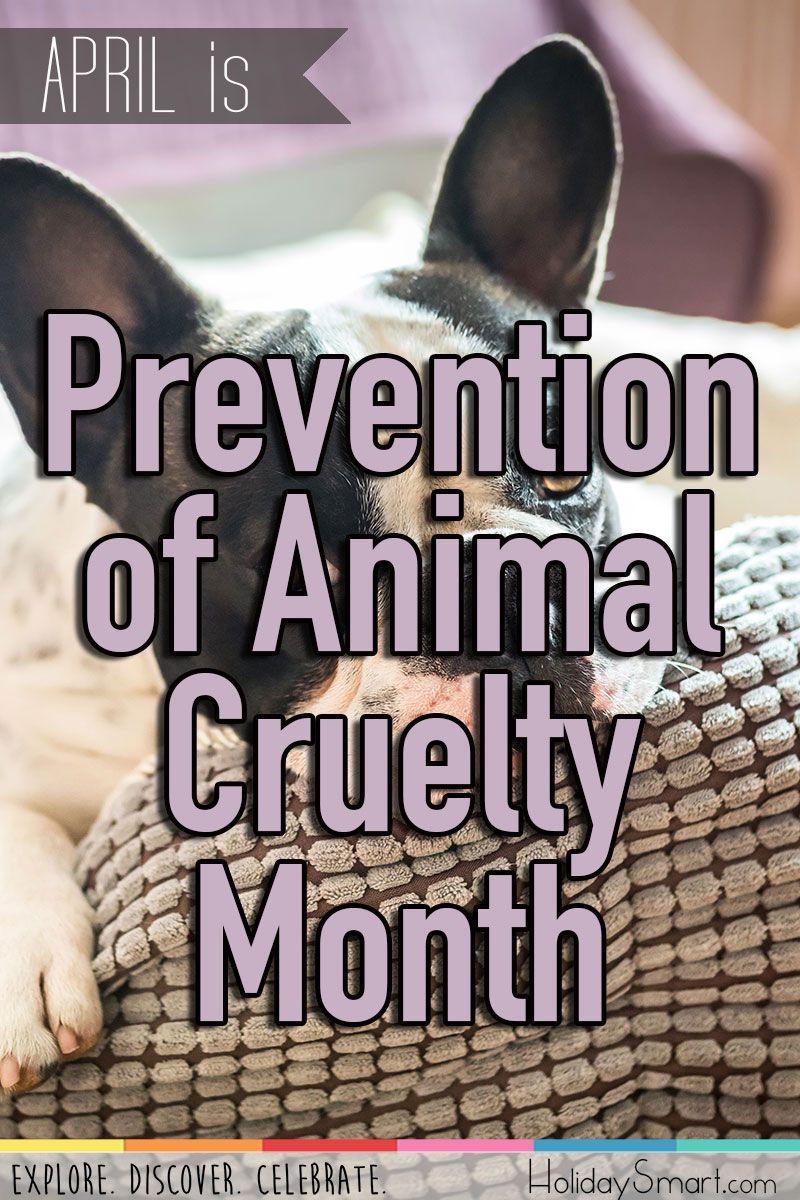 Prevention of Animal Cruelty Month | Holiday Smart