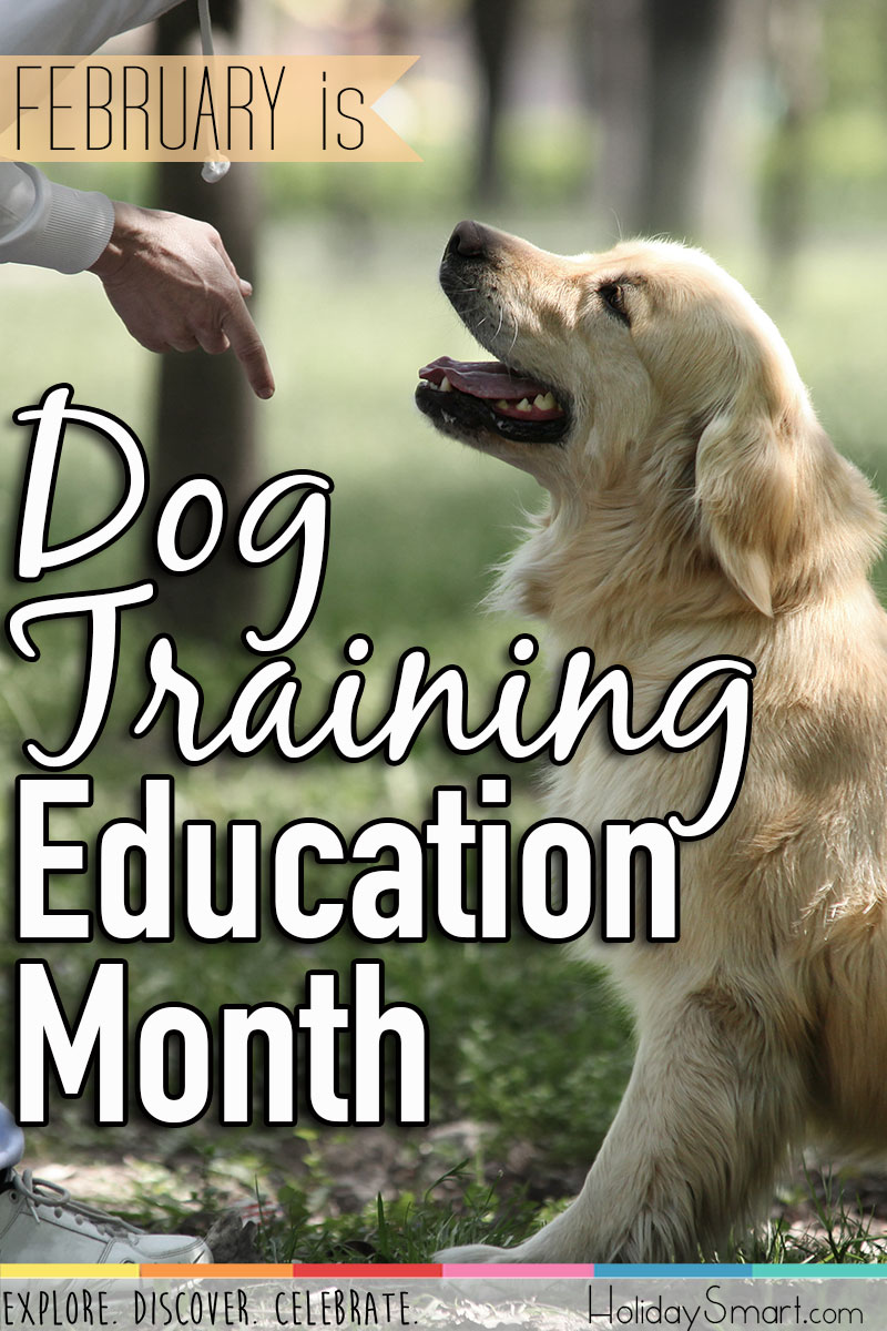 February is Dog Training Education Month