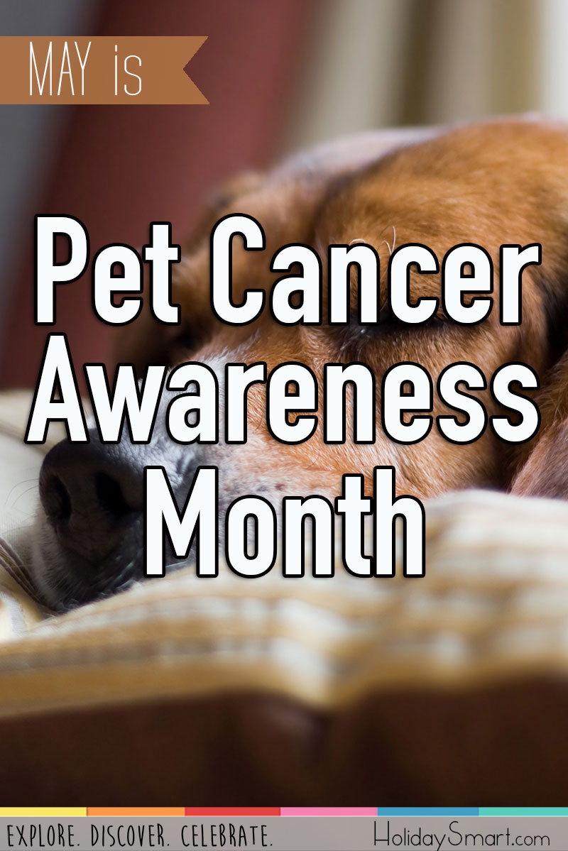 May is Pet Cancer Awareness Month