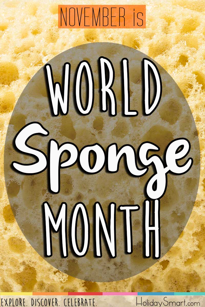 November is World Sponge Month