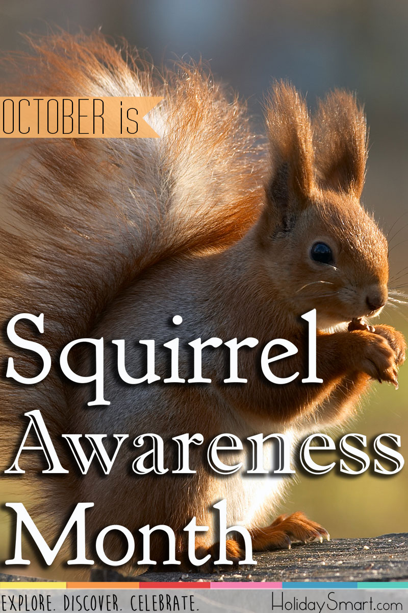 October is Squirrel Awareness Month