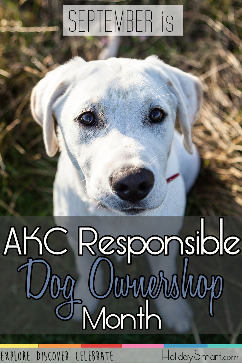 September is AKC Responsible Dog Ownership Month!