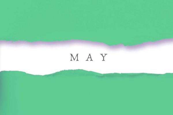 A Peak at Popular May Daily Fun Holidays