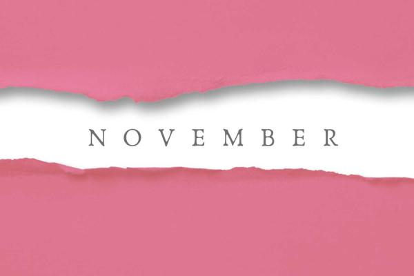 A Peak at Popular November Daily Fun Holidays