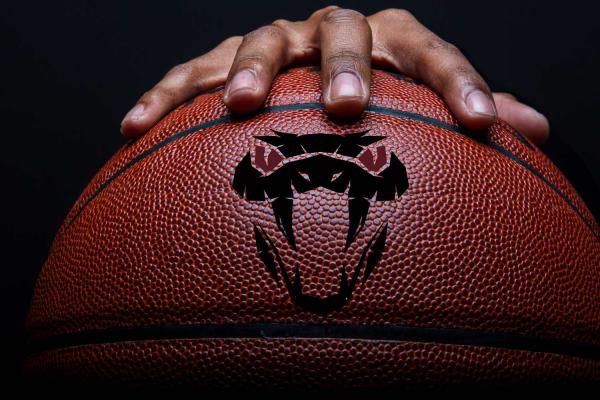 Kobe Mamba Mentality Day: The Legacy of a Legend