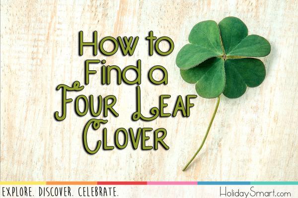 How to  Find a  Four Leaf Clover
