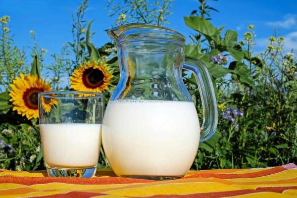 Milk Day