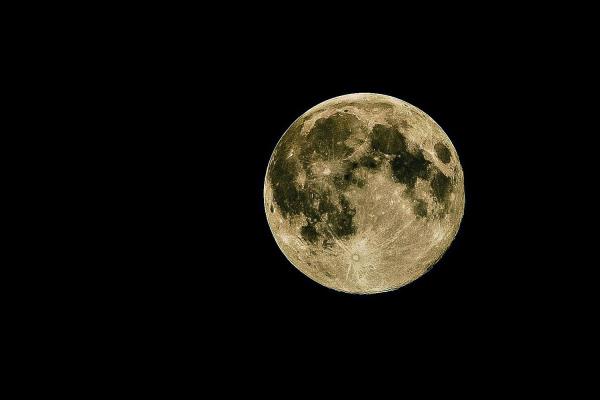 Moon Day