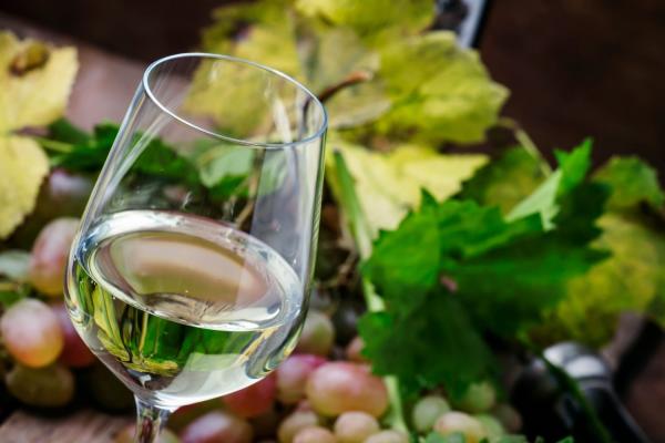 Sauvignon Blanc Day