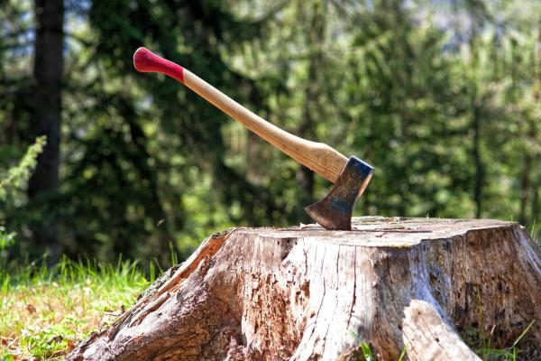 Paul Bunyan Day