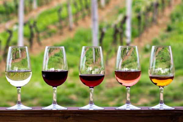 Wine Day