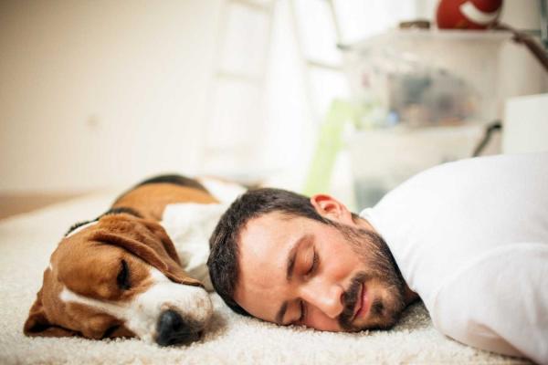 Napping Day
