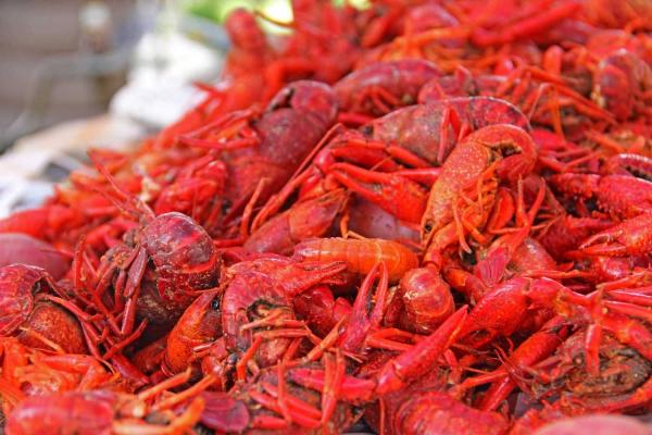 Crawfish Day