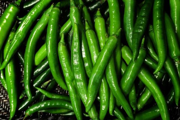 Green Chili Day