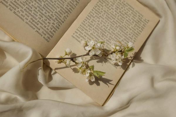 Poetry Break Day