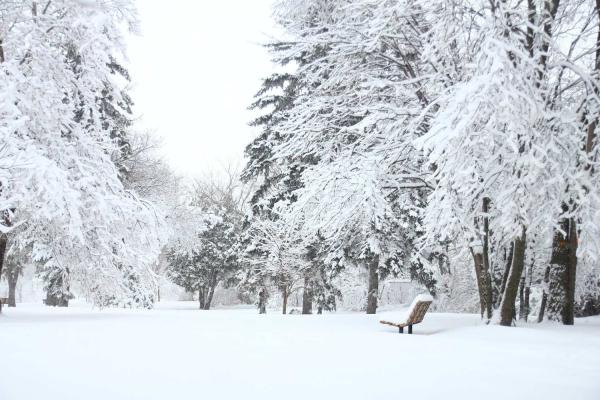 World Snow Day