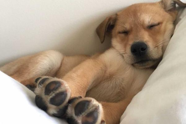 Comfy Day