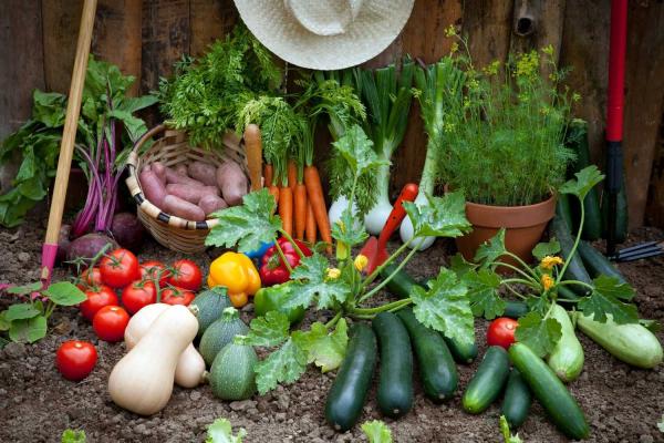 Ag Day, Celebrating Our Bountiful Food Supply