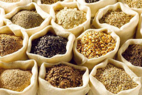 Whole Grain Sampling Day